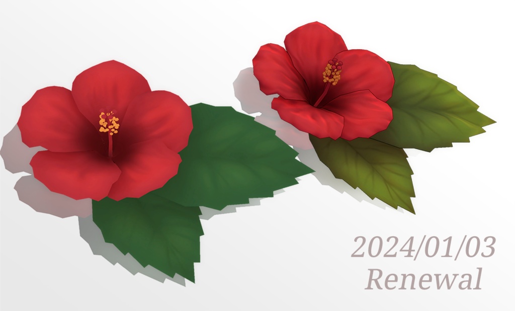 ハイビスカス hibiscus