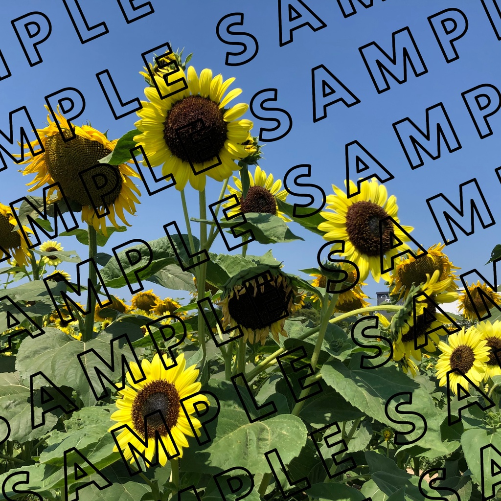 背景素材　FLORS