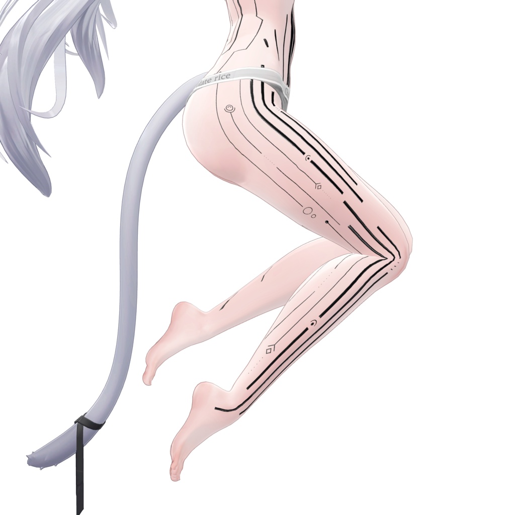 ( 神経回路 ) Neural Circuit