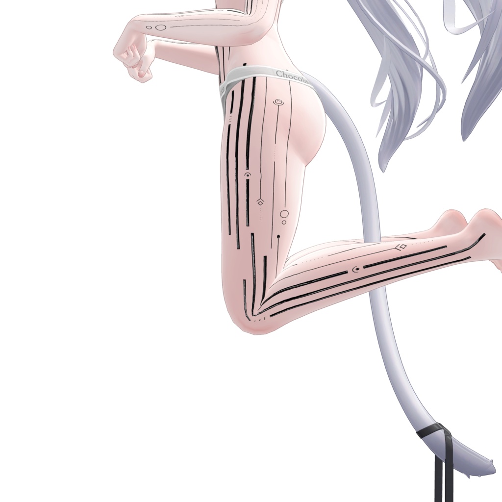 ( 神経回路 ) Neural Circuit