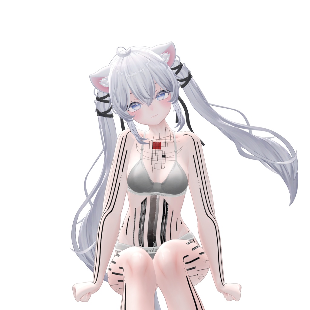 ( 神経回路 ) Neural Circuit