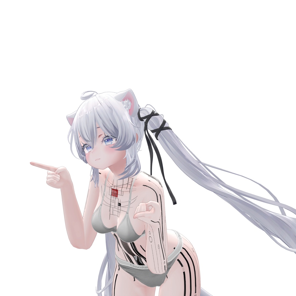 ( 神経回路 ) Neural Circuit