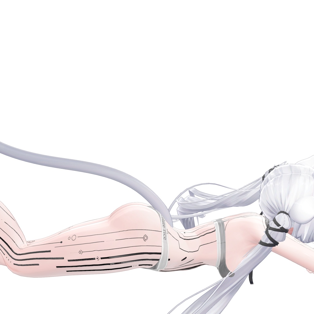 ( 神経回路 ) Neural Circuit