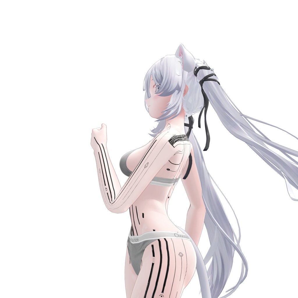( 神経回路 ) Neural Circuit