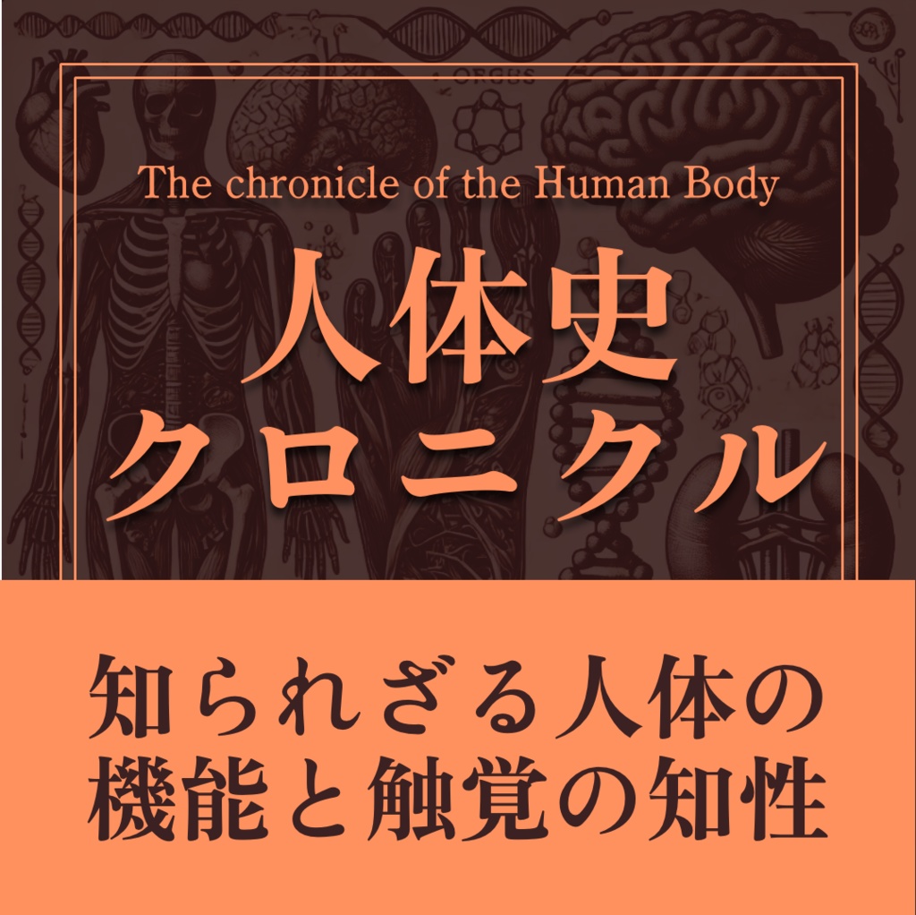【講義音声&まとめノート】人体史クロニクル