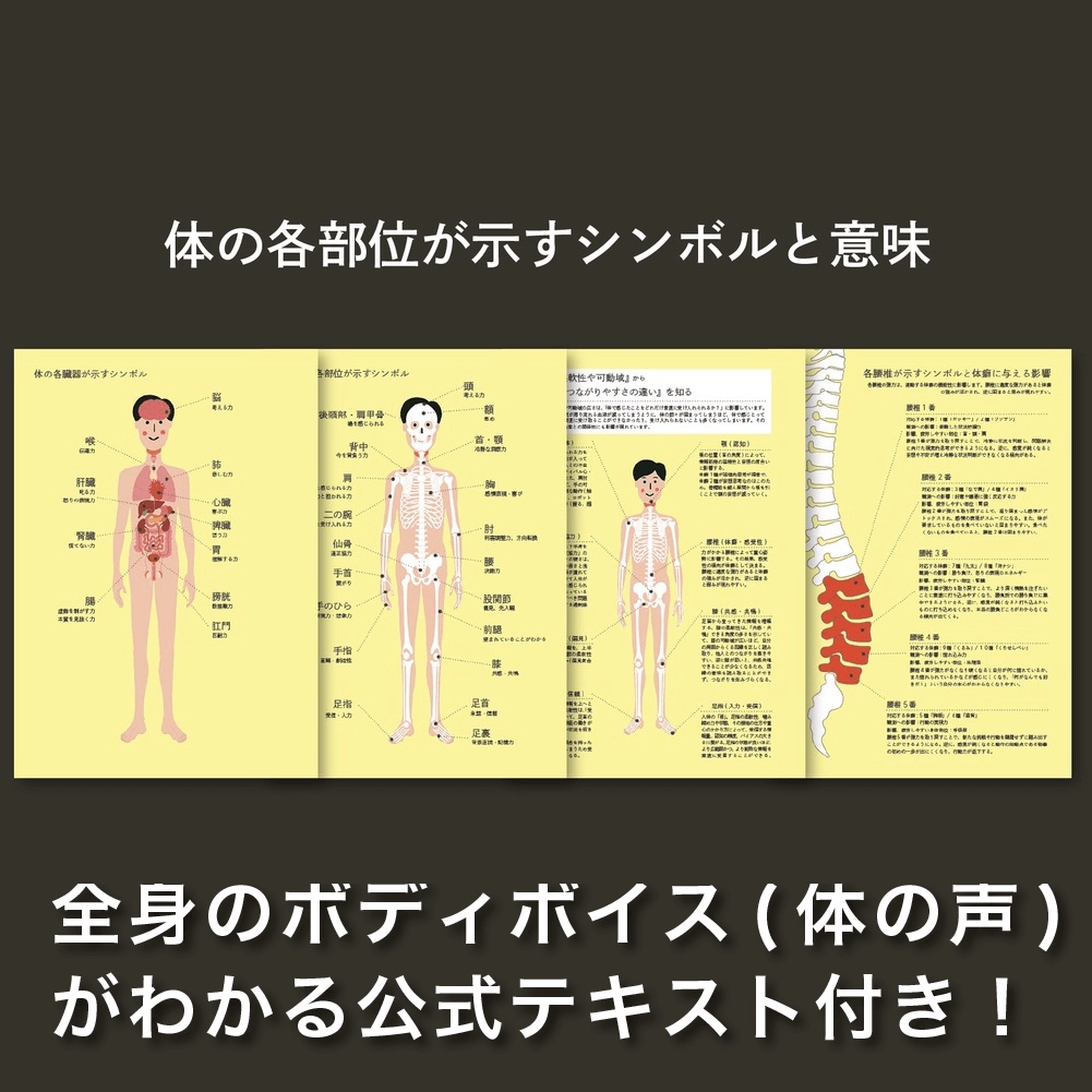 【講義音声&体の声一覧シート】人体史クロニクル(ボディボイス編)
