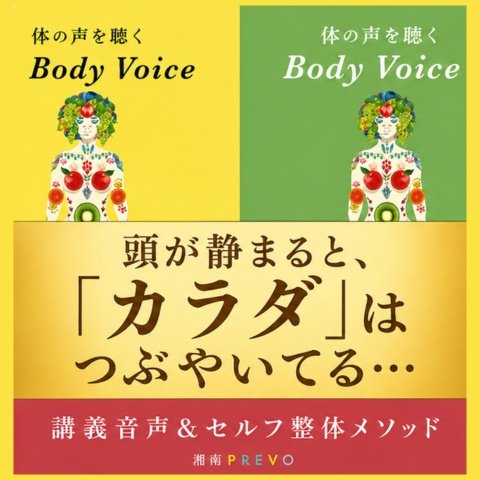 【無料お試しパック】頭が静まると「カラダ」はつぶやいてる…「体の声~Body Voice~の世界」【サンプル音声付き】