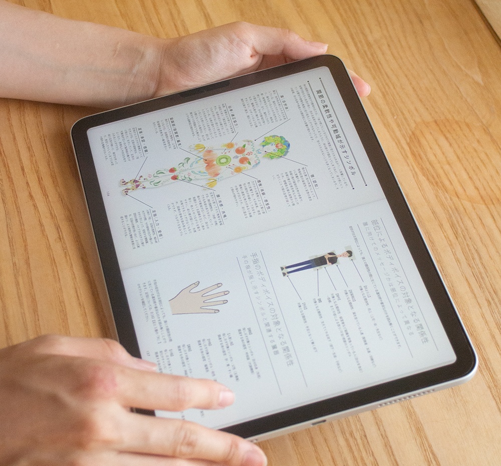 【製本&デジタル&音声セット】体癖手帳「電脳丹田🌟体癖ダブルスターコンプリートセット」