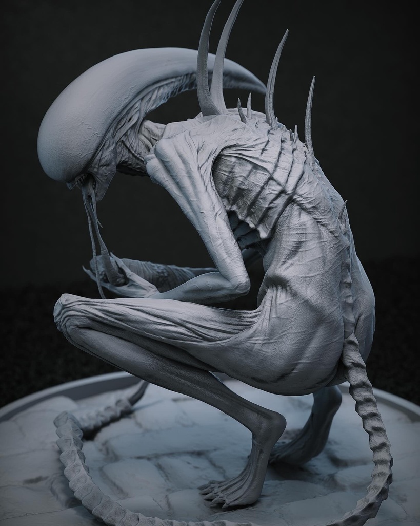 Neomorph（kit）