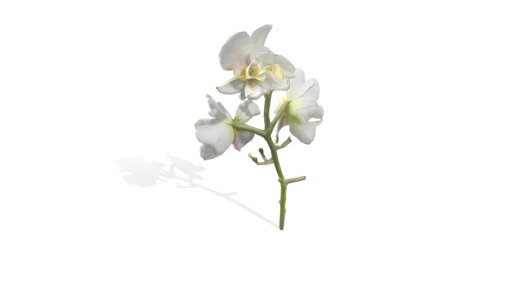 Flower's Bundle
