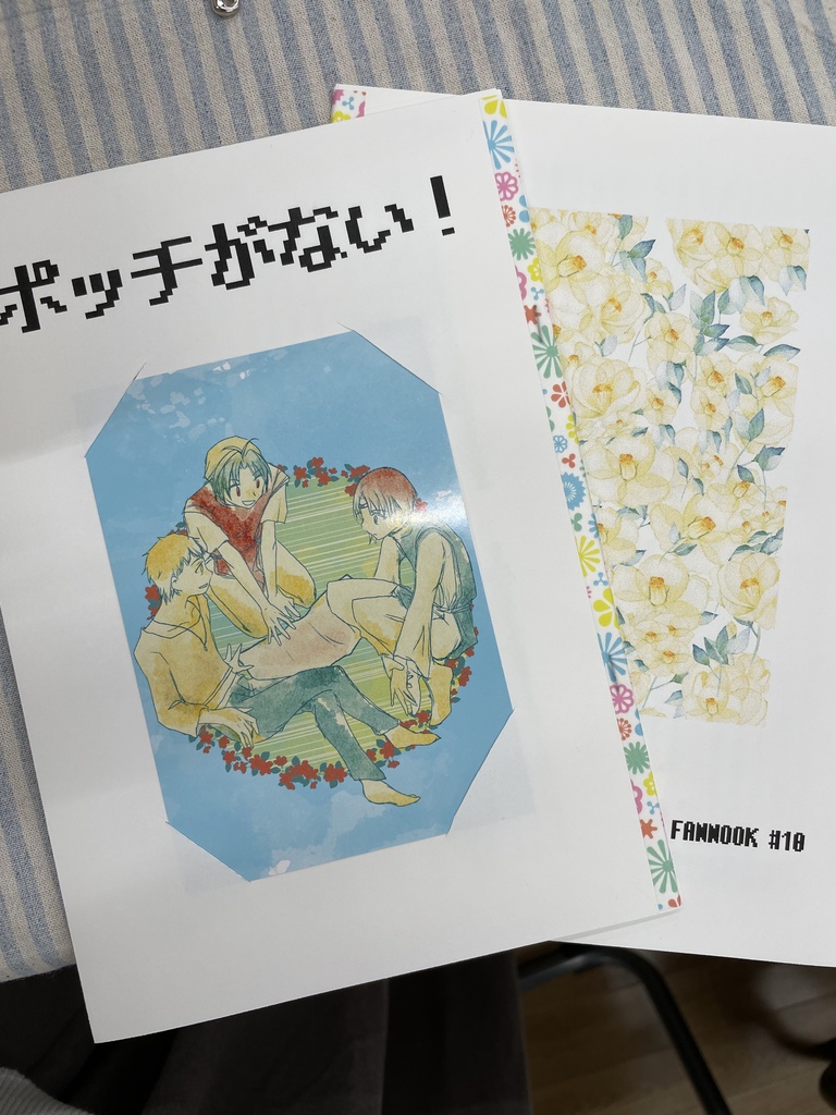 ポッチがない!