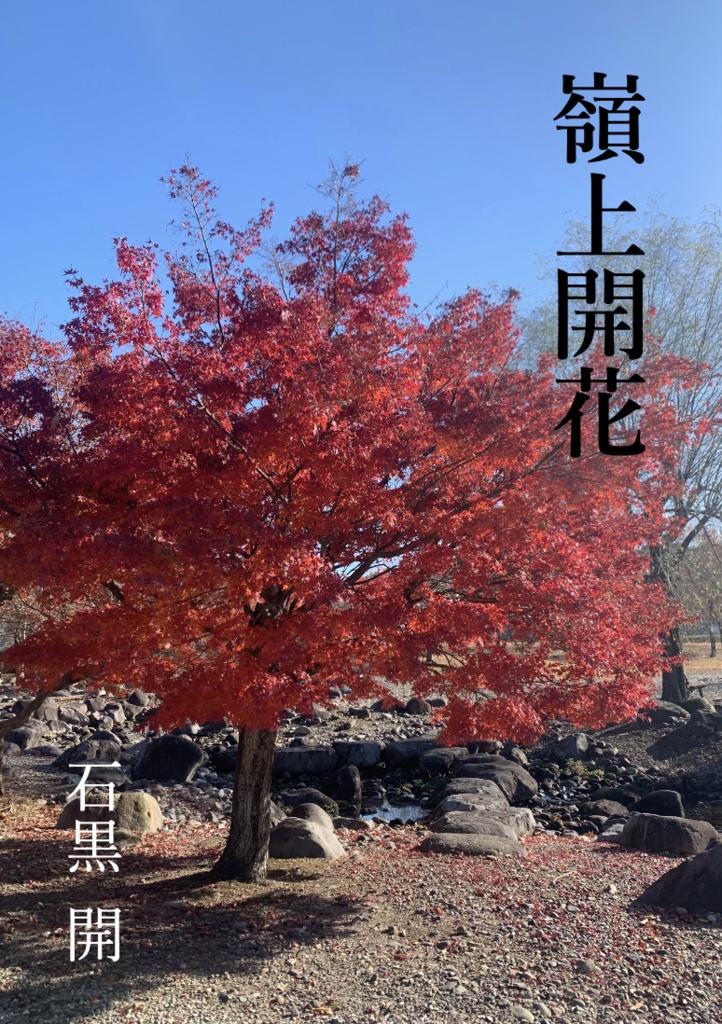 嶺上開花