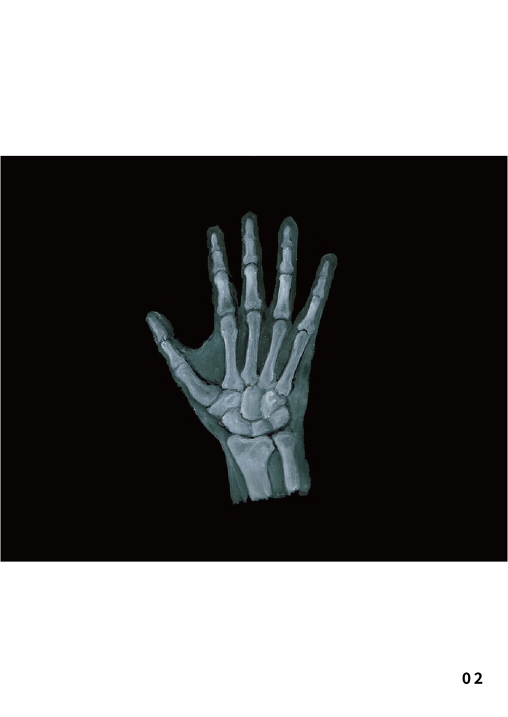 bow's Journal #19 レントゲン写真のイラスト