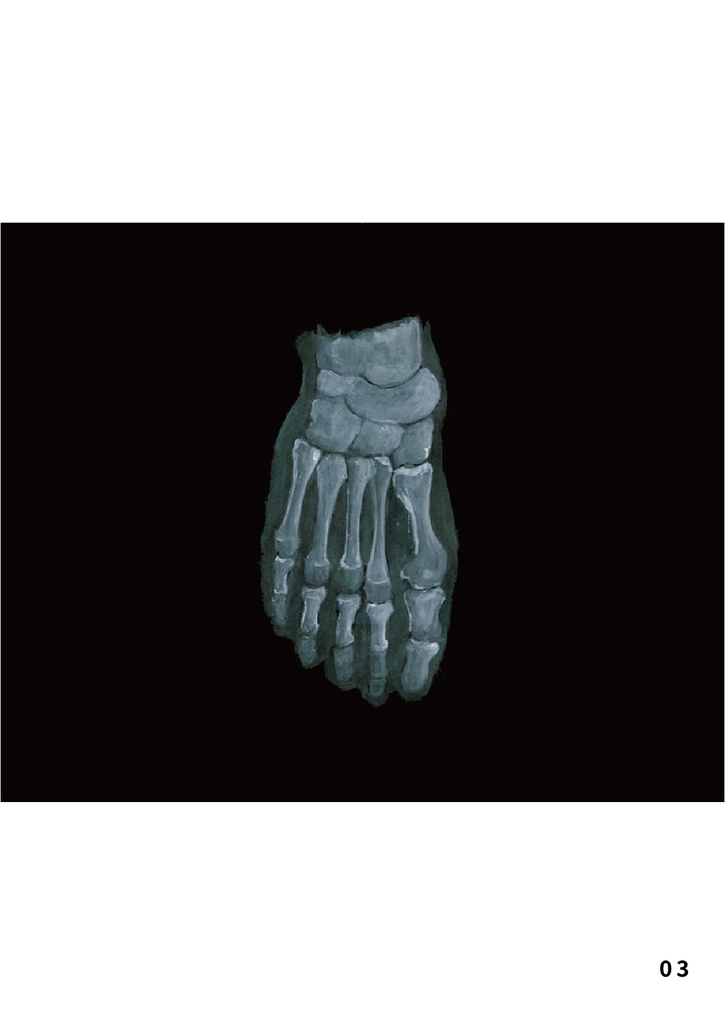 bow's Journal #19 レントゲン写真のイラスト