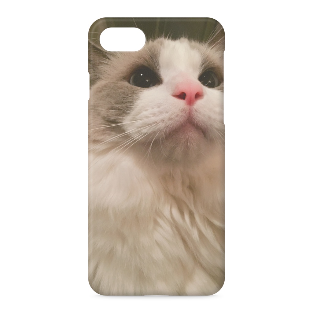 iPhoneハチワレラグドールラウル2
