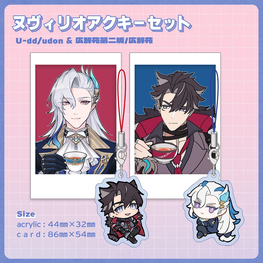 【匿名配送】ヌヴィリオアクキーセット
