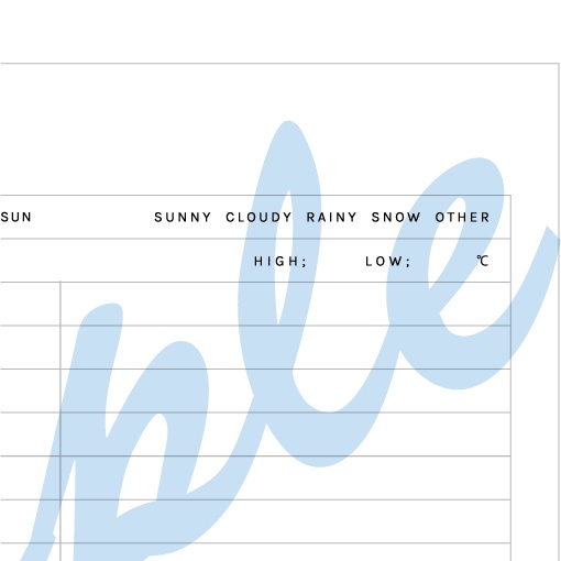 DAILY PLAN SL-01-Y-A6