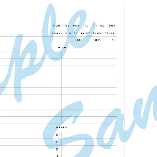 DAILY PLAN SL-01-T-A6