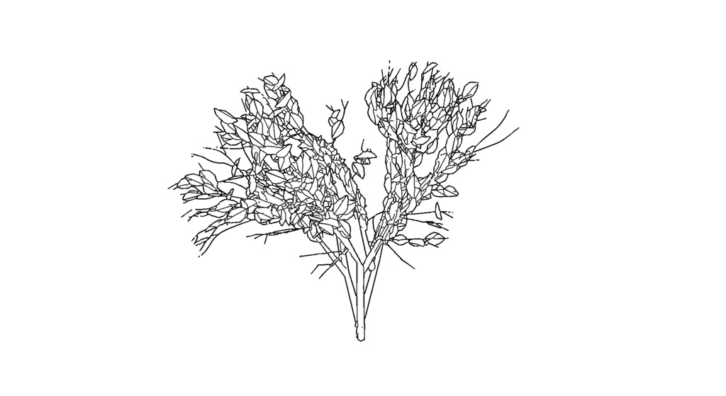 【3D素材_fbx】植え込み