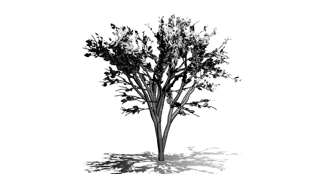 【3D素材_fbx】街路樹