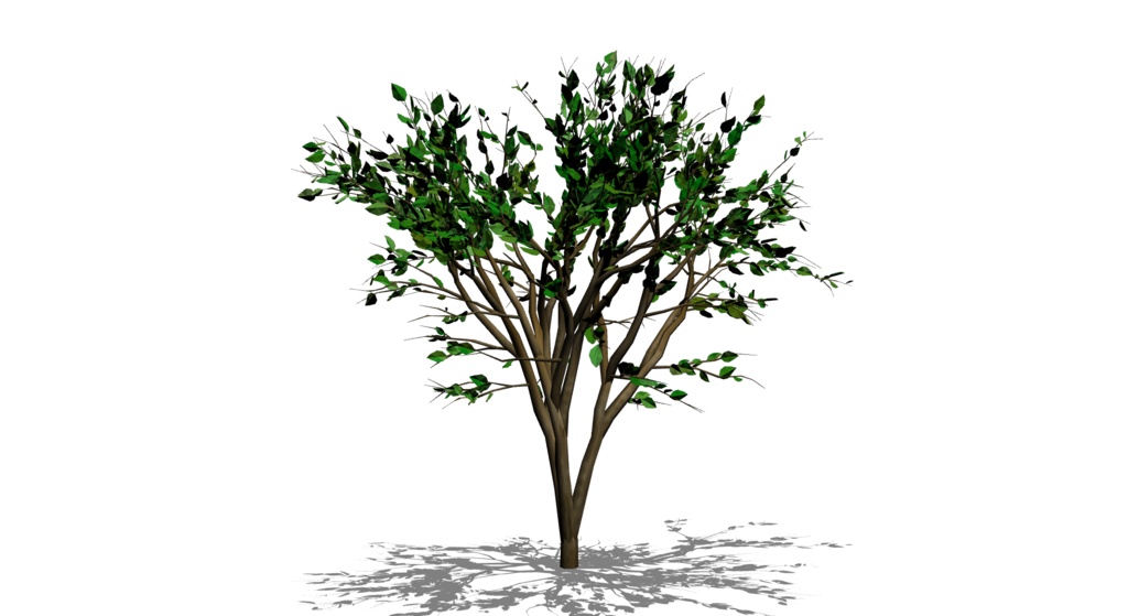 【3D素材_fbx】街路樹