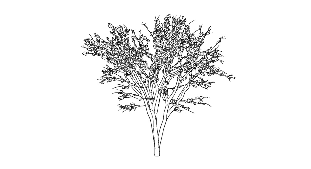 【3D素材_fbx】街路樹