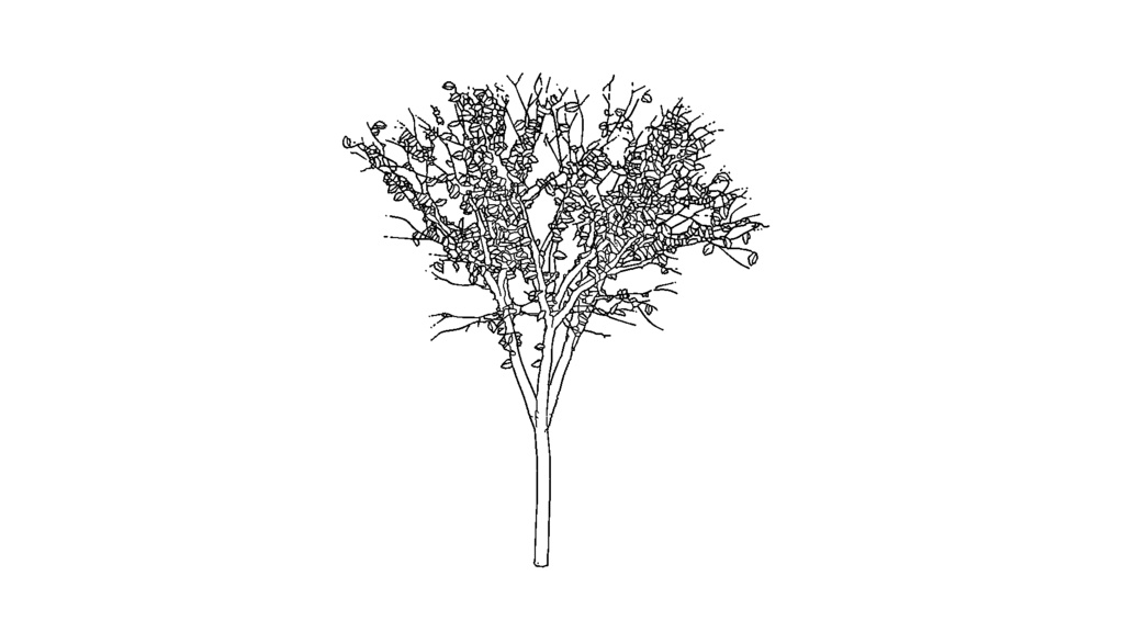 【3D素材_fbx】街路樹