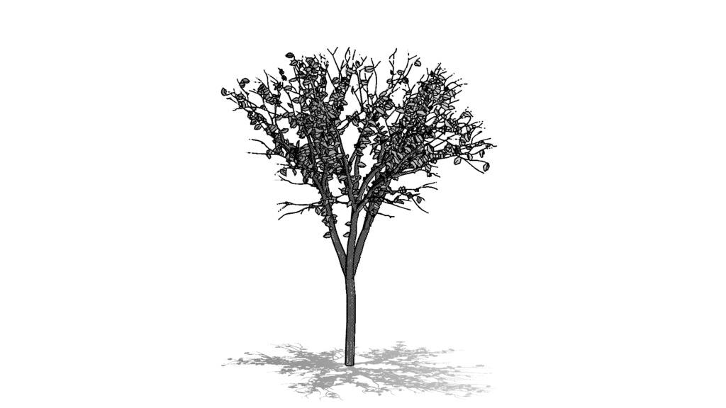 【3D素材_fbx】街路樹