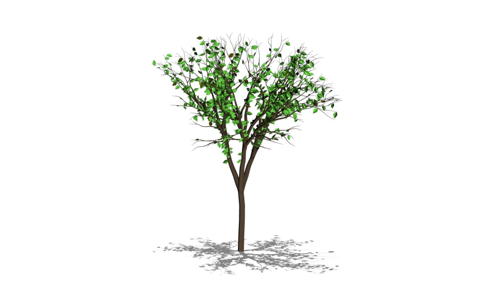 【3D素材_fbx】街路樹