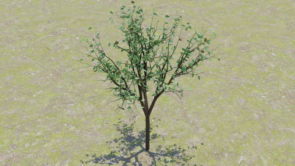 【3D素材_fbx】街路樹