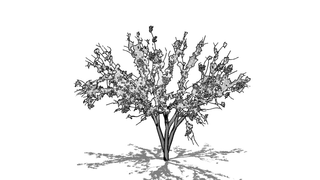 【3D素材_fbx】桜