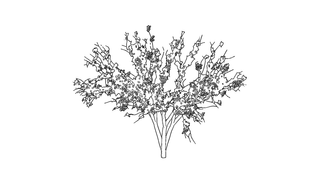 【3D素材_fbx】桜