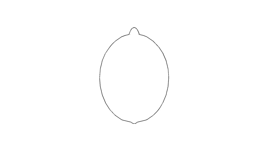 【3D素材_fbx】レモン