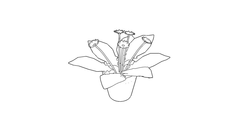 【3D素材_fbx】ガーベラ