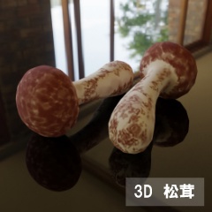 【3D素材_fbx】松茸
