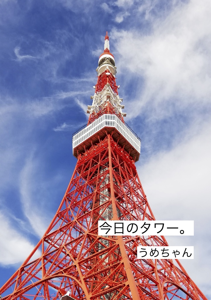 今日のタワー。