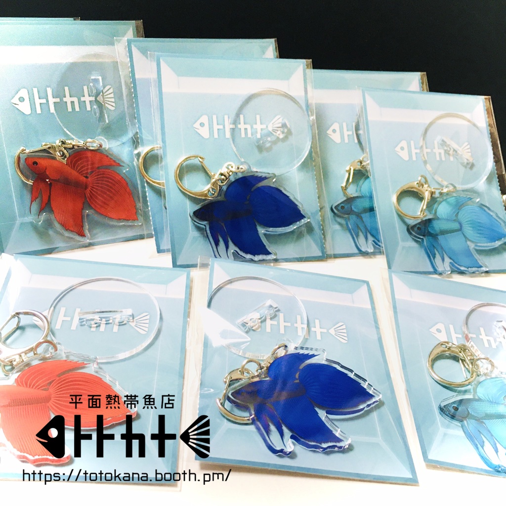 平面熱帯魚トラベタフレアリング赤青碧