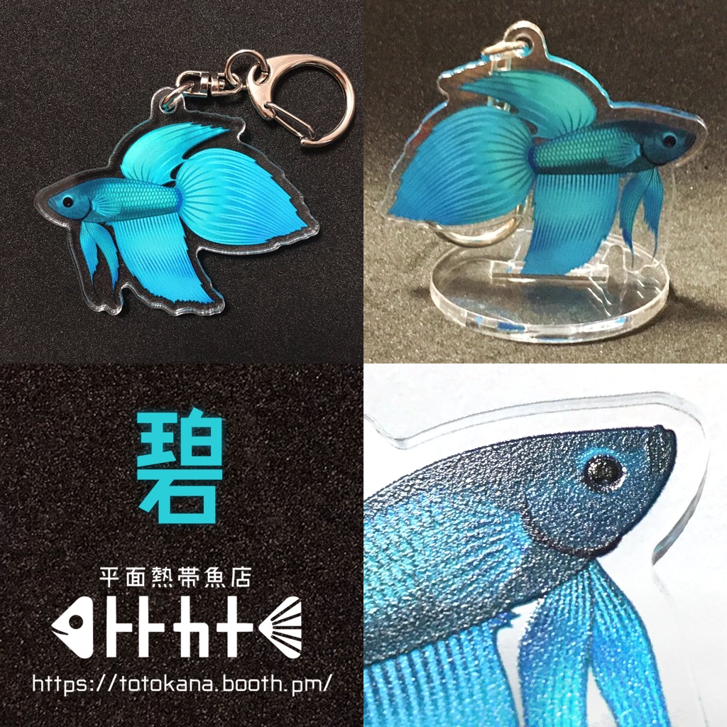 平面熱帯魚トラベタフレアリング赤青碧