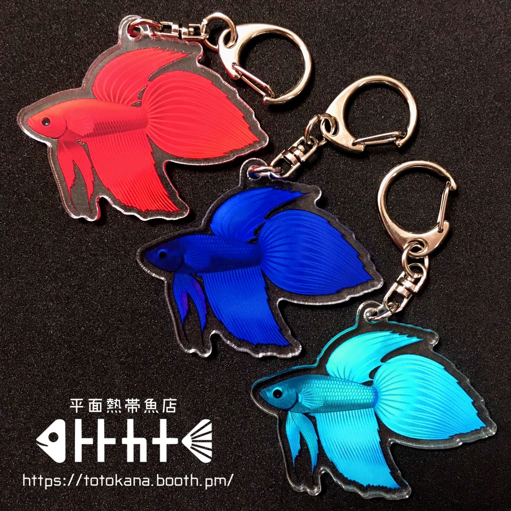 平面熱帯魚トラベタフレアリング赤青碧