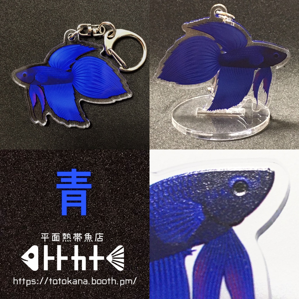 平面熱帯魚トラベタフレアリング赤青碧