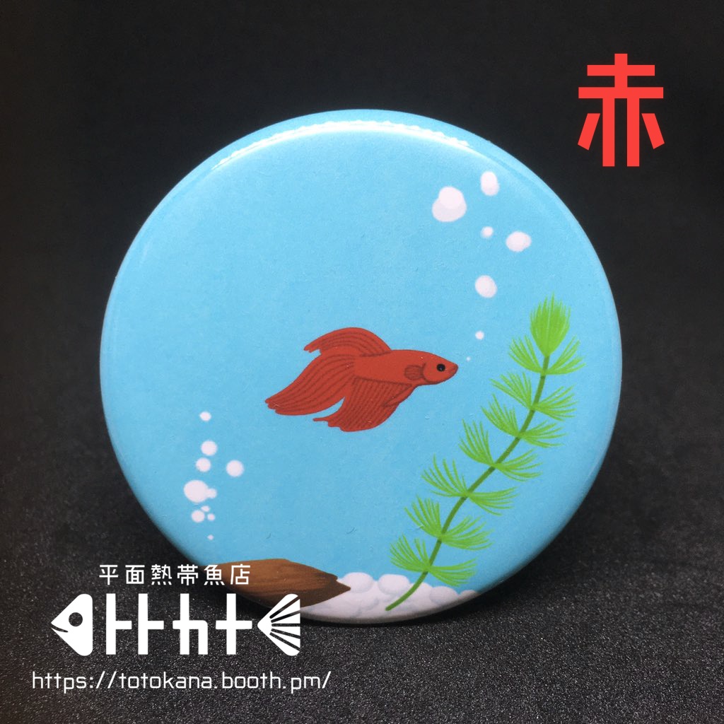 平面熱帯魚トラベタ水槽<赤青碧<