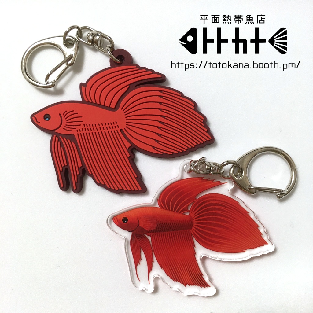 平面熱帯魚トラベタ赤蒼ラバスト