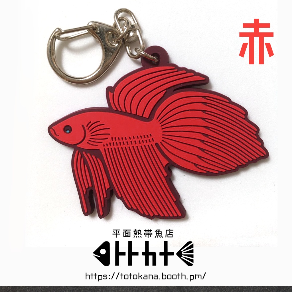 平面熱帯魚トラベタ赤蒼ラバスト