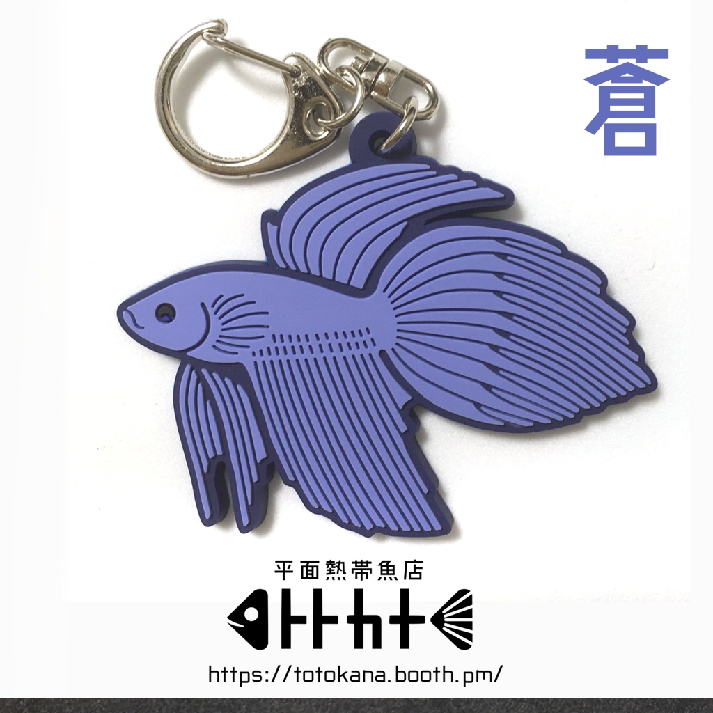 平面熱帯魚トラベタ赤蒼ラバスト