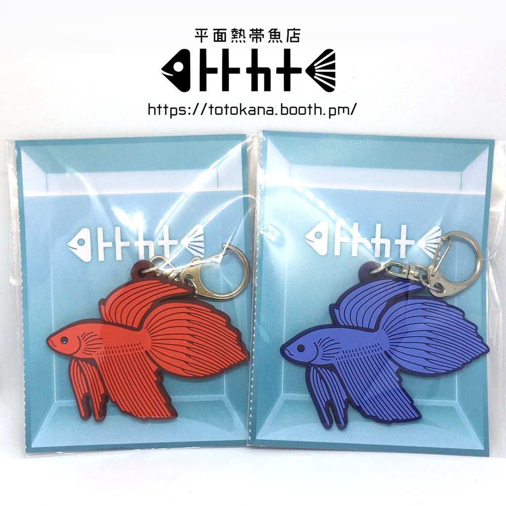 平面熱帯魚トラベタ赤蒼ラバスト