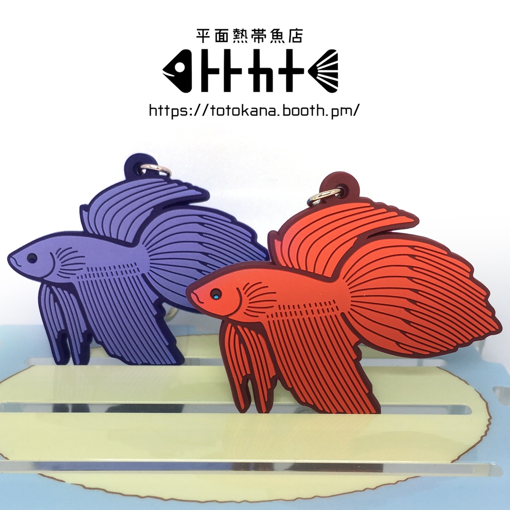 平面熱帯魚トラベタ赤蒼ラバスト