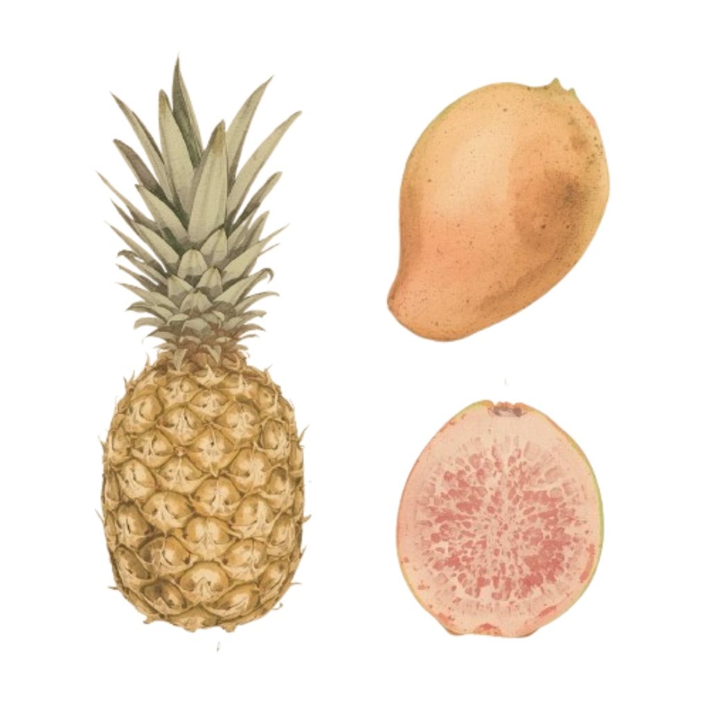 ハワイアンな水彩イラストクリップアート 8種 (PNG)