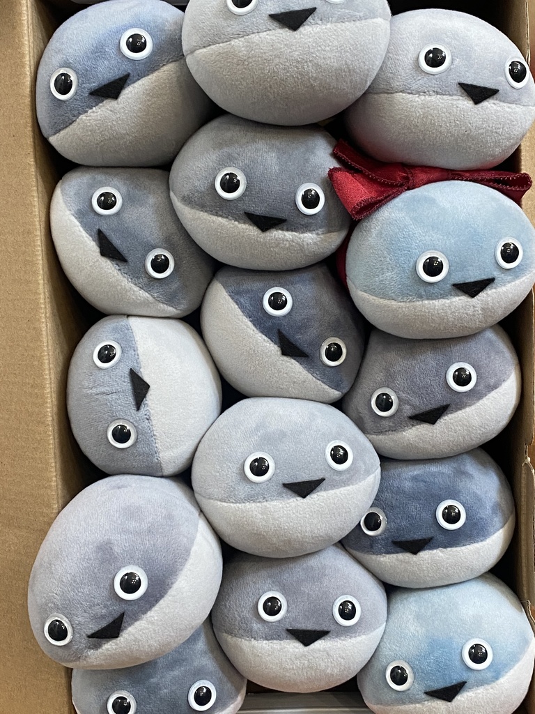 まめぴす(まめたがつくったサカバンバスピス)