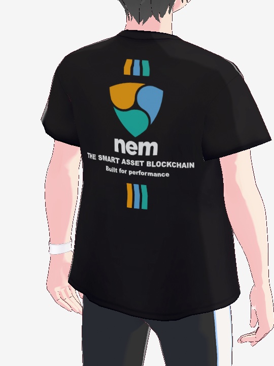 【VRoid用カスタムアイテム】nem Tシャツ