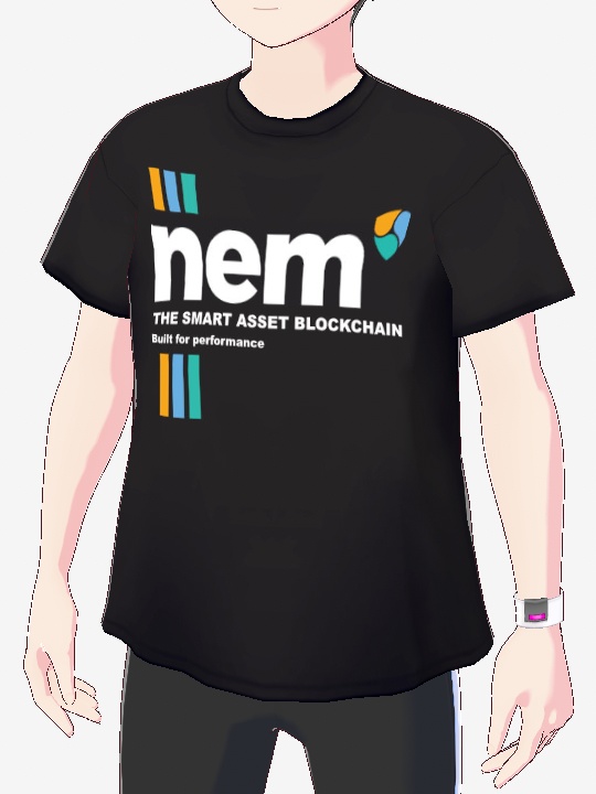 【VRoid用カスタムアイテム】nem Tシャツ